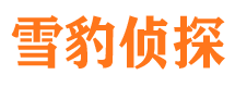 师宗找人公司